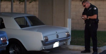 Parking Enforcement Program